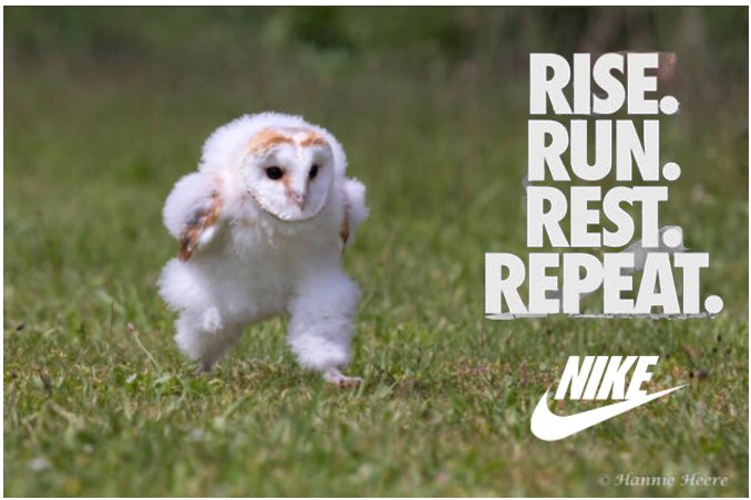 Colpetty tweet media