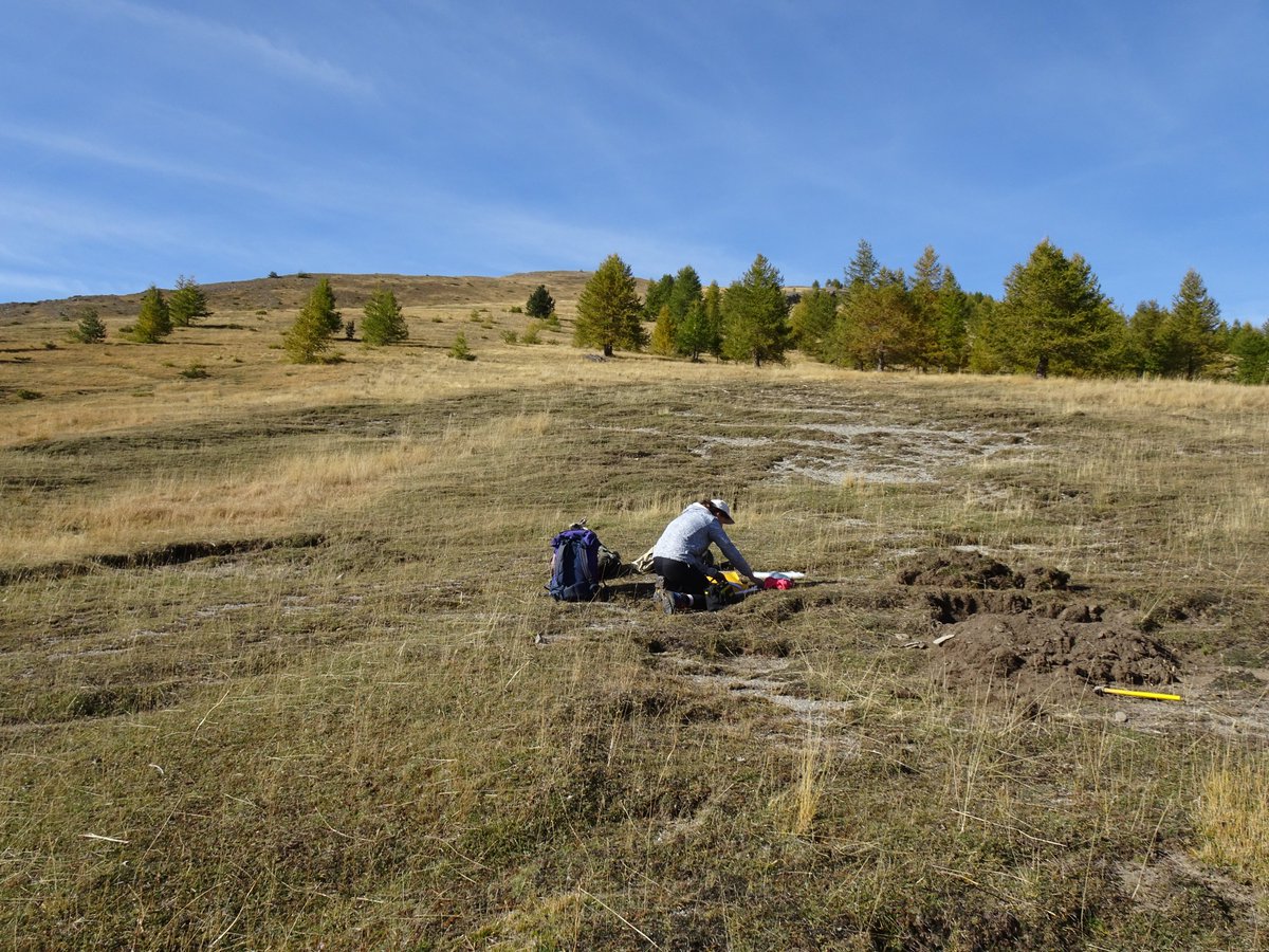 imbe_ppm's tweet photo. Direction la Haute Bléone et le plateau de Chourges avec Emma Gamba pour une campagne de prélèvements ⛏️ L’objectif est de réaliser un transect de fosses #pédologiques pour recueillir les #charbons contenus dans les #sols, témoins de la #vegetation passée
https://t.co/KrXa0evUWA https://t.co/RgQ09pipZC
