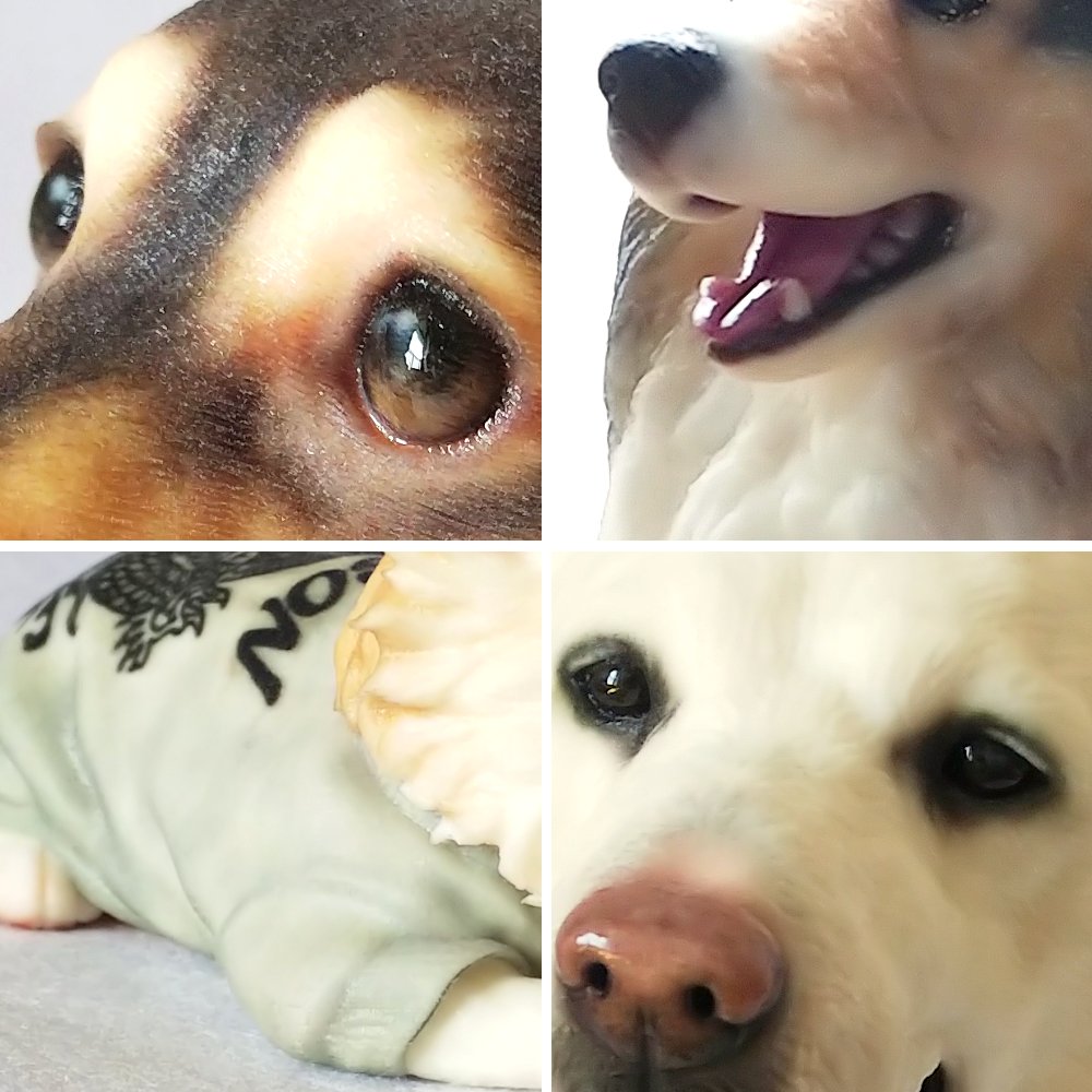 3dpetshop's tweet photo. #樹脂フィギュア の一部を拝借してご紹介ます!
#愛犬 #犬 #dog
#愛猫 #猫 #cat
#ペットフィギュア #petfigure
#フィギュア #3dfigure #figure
#3dプリンター #3dprinter
#3dcg #design
#pet #ペット
#犬好き #猫好き
#ilovedog #ilovecat
#犬好きさんと繋がりたい
#猫好きさんと繋がりたい 
#3DPETSHOP https://t.co/rGYQfCtwJU