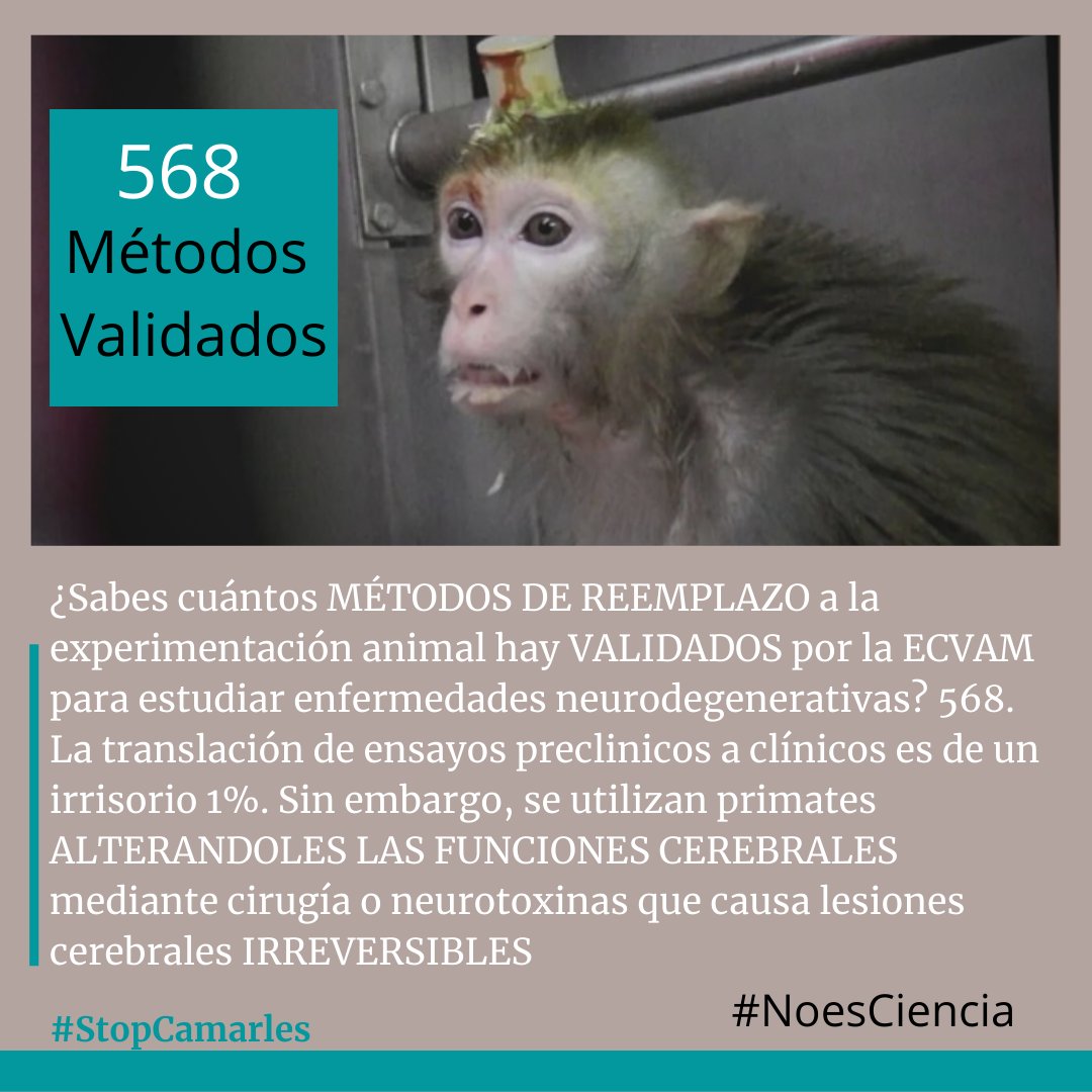 568,  568,  568 métodos validados por la ECVAM para estudiar enfermedades neurodegenerativas. Si existen métodos que reemplazan la #experimentaciónAnimal ¿por qué no se obliga a que se usen? No existe justificación científica ni ética para seguir experimentando con animales