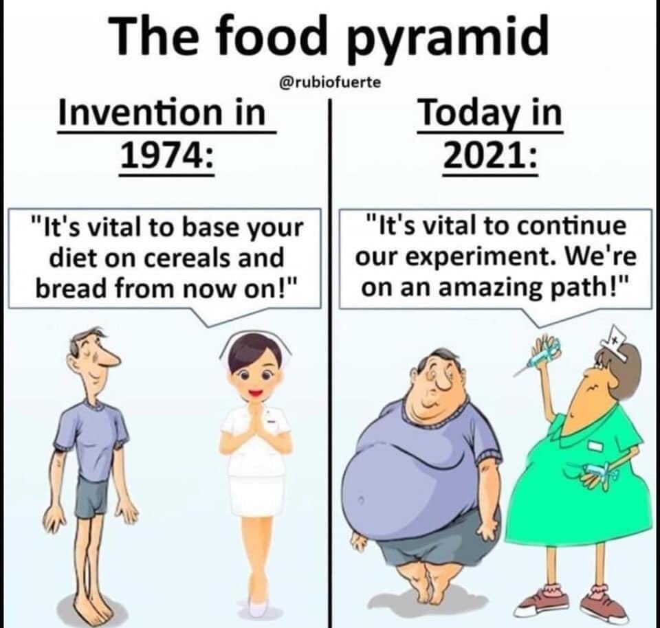 wellnesseq's tweet image. Sadly so true #eatwellplate #eatwellguide #nhsguidelines. When will they ever learn?