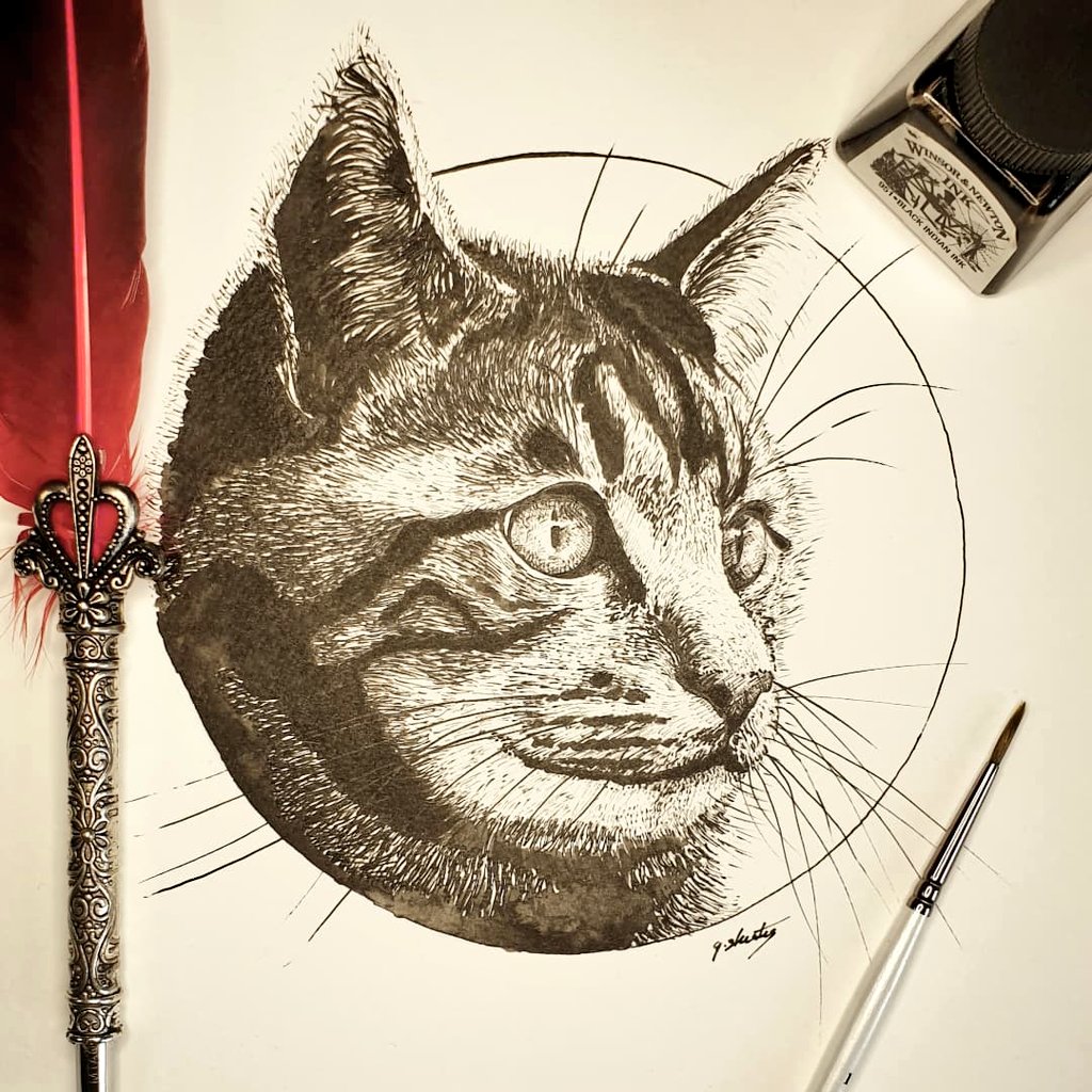 GraceSkeatesArt's tweet image. StreamINK Day 24 - Cat
#streamink2021 #inktober2021