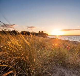 IW Travel Ambassador tweet media