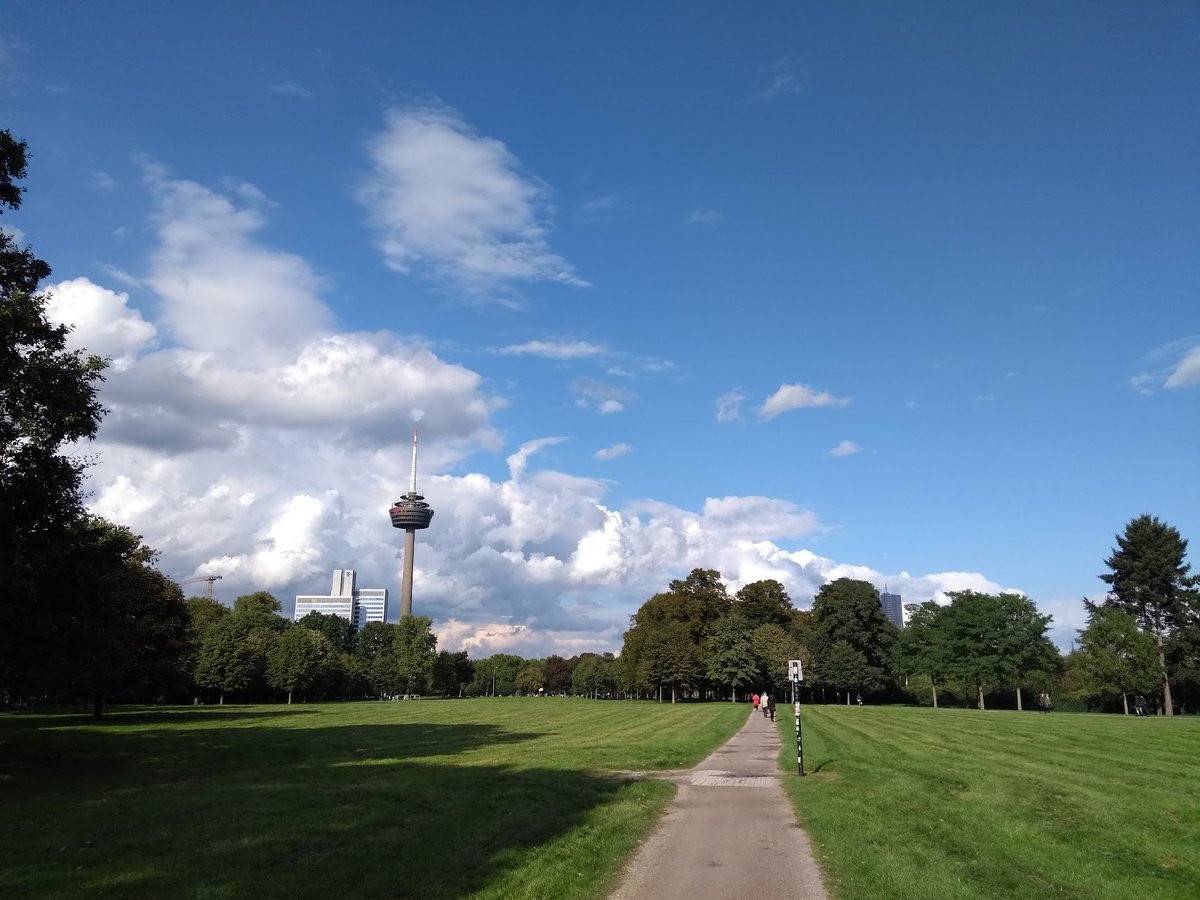 Bit #TeamWissenschaft Pertinax tweet media