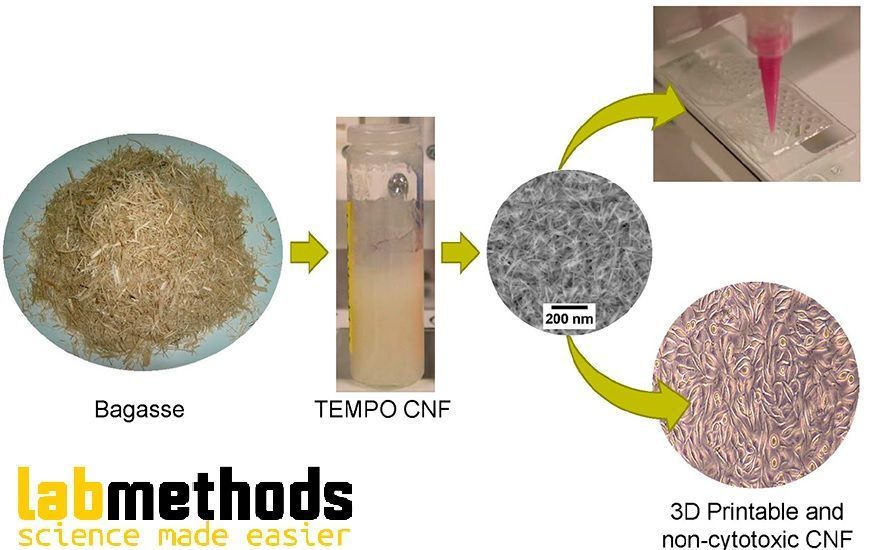 josbaema's tweet image. 💙🧫🧬🔬Bioprinting of CNF nanocellulose🧫💙

buff.ly/3AWQ7IT

🔬🧬A method found in #labmethods buff.ly/3aTSul5 🧬🔬

#Biofabrication #skin #Bioprinting #nanocellulose