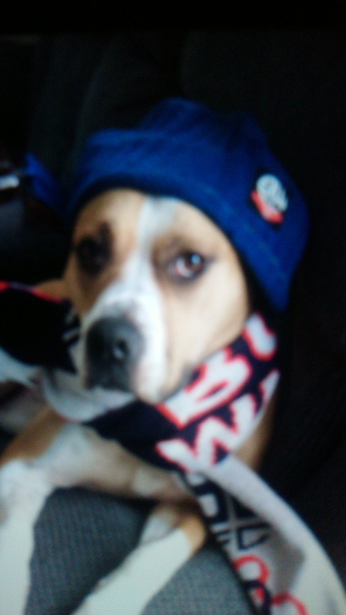 JeffStatto's tweet photo. @BwfcLotteries @OfficialBWFC @BWFC_Tickets Surely new hats and scarves. Pre Wigan photo. Think she knew 🤣 https://t.co/dHcutmsfSQ