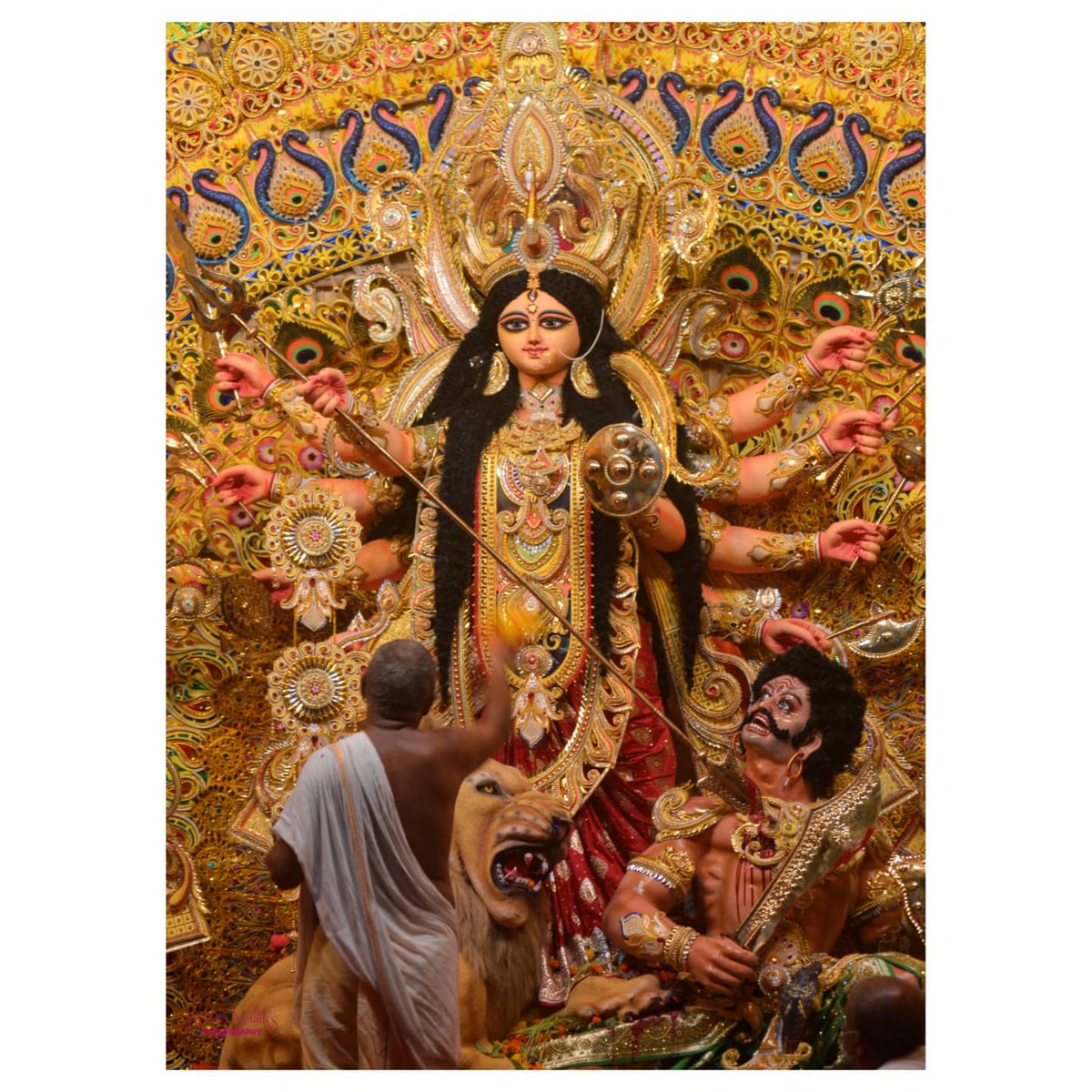 Jayanta Mallik (@jayanta28645564) on Twitter photo 