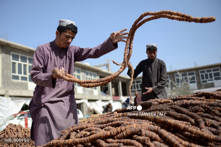 AFPphoto's tweet photo. #Afghanistan - Dried fruit wholesale market in Kandahar.
📸 Javed Tanveer #AFP https://t.co/NG85USOufF