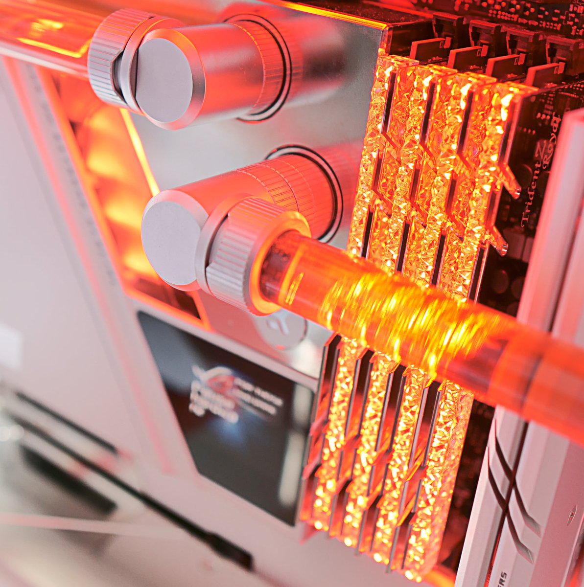 gskillgaming's tweet photo. An amazing open-air case that's viewable from every angle. Designed by PauseHardware.
📸 #PauseHardware | @InWin | @intel | @ASUS_ROG | @CableMod | @EKWaterBlocks https://t.co/SACmLB1D8b