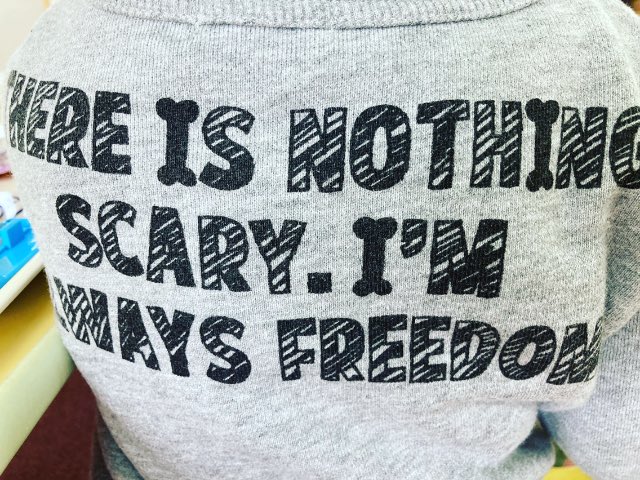 Dan_Kiko_Murray's tweet photo. “There is nothing scary. I’m always freedom.” Didn’t Conan the Barbarian say something like that? I think I’ll steal this when I run for emperor. #engrish #japaneseengrish #engrishfunny #engrishfail #danieljmurray #danieljamesmurray #awsomequotes #clothing #clothingquotes https://t.co/QbT0xhr4L2