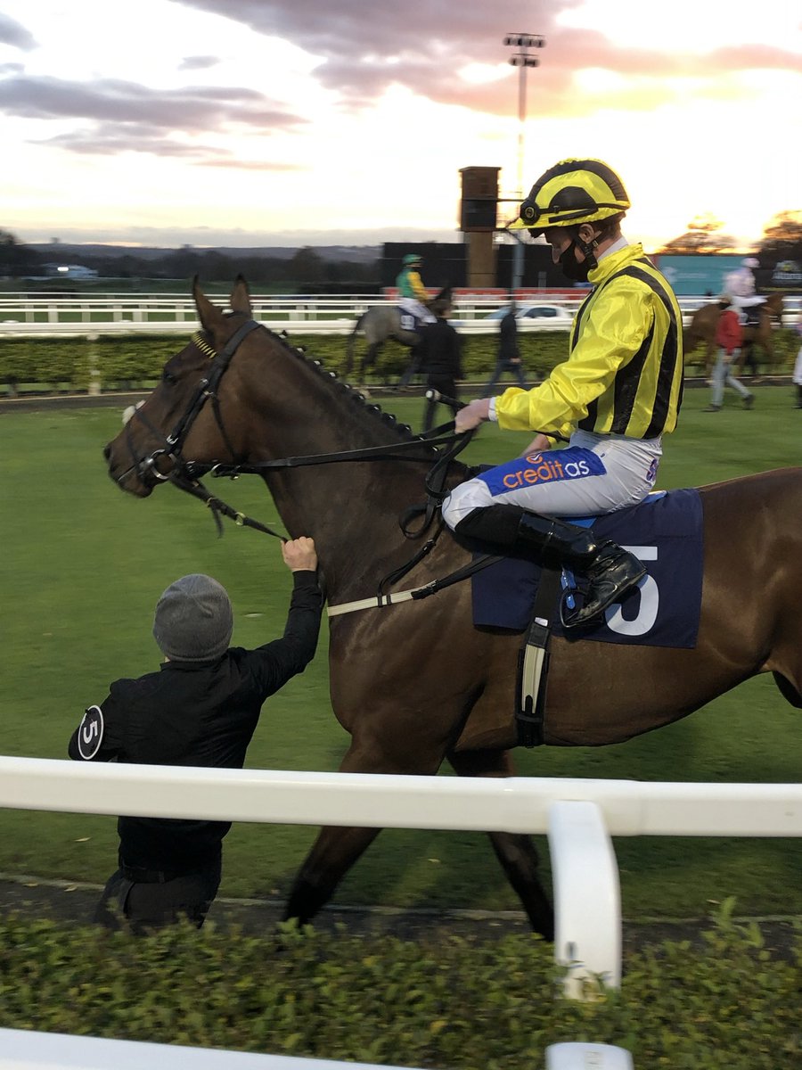 Hold Your Horses Racing tweet media