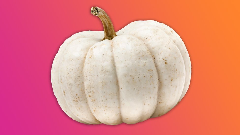 When did white pumpkins become a thing, is it Brexit related? #WhitePumpkins