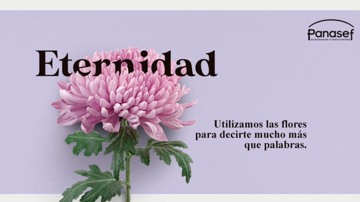 Utilizamos las flores para decirte mucho más que palabras.
El próximo 29 de octubre los profesionales funerarios honramos a los fallecidos a través de los crisantemos. Porque en el lenguaje de las flores, el crisantemo es símbolo de la eternidad.
#1Nsiemprecontigo #panasef