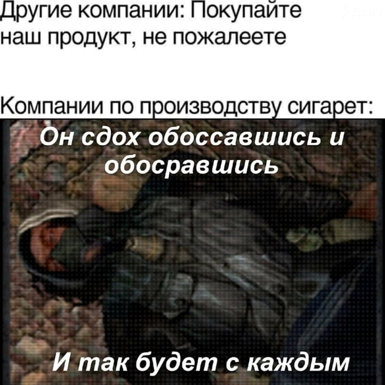 FCneog1XoAkd5i6?format=jpg&name=large