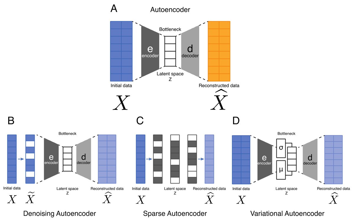 IJMS_MDPI's tweet image. Authors from @Univ_CotedAzur focus on the applications in the field of #Rarediseases, and discuss how the employment of #autoencoders and #variationalautoencoders would enhance Rare diseases understanding and diagnosis. Learn more here: mdpi.com/1422-0067/22/1…