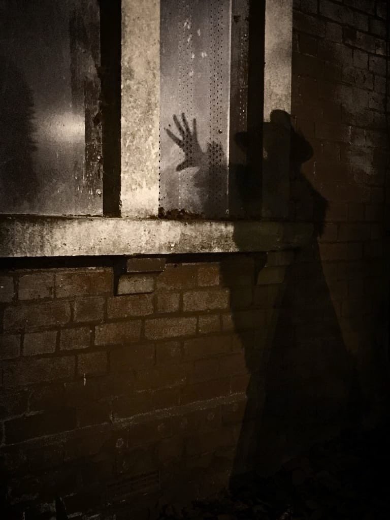 marydoesmarlow's tweet photo. What better way to discover Marlow's sinister side than with queen of the gothic horror novel, our very own Mary Shelley?! Half term tickets selling fast. But are you brave enough to join her? https://t.co/ChNrDOCjOg