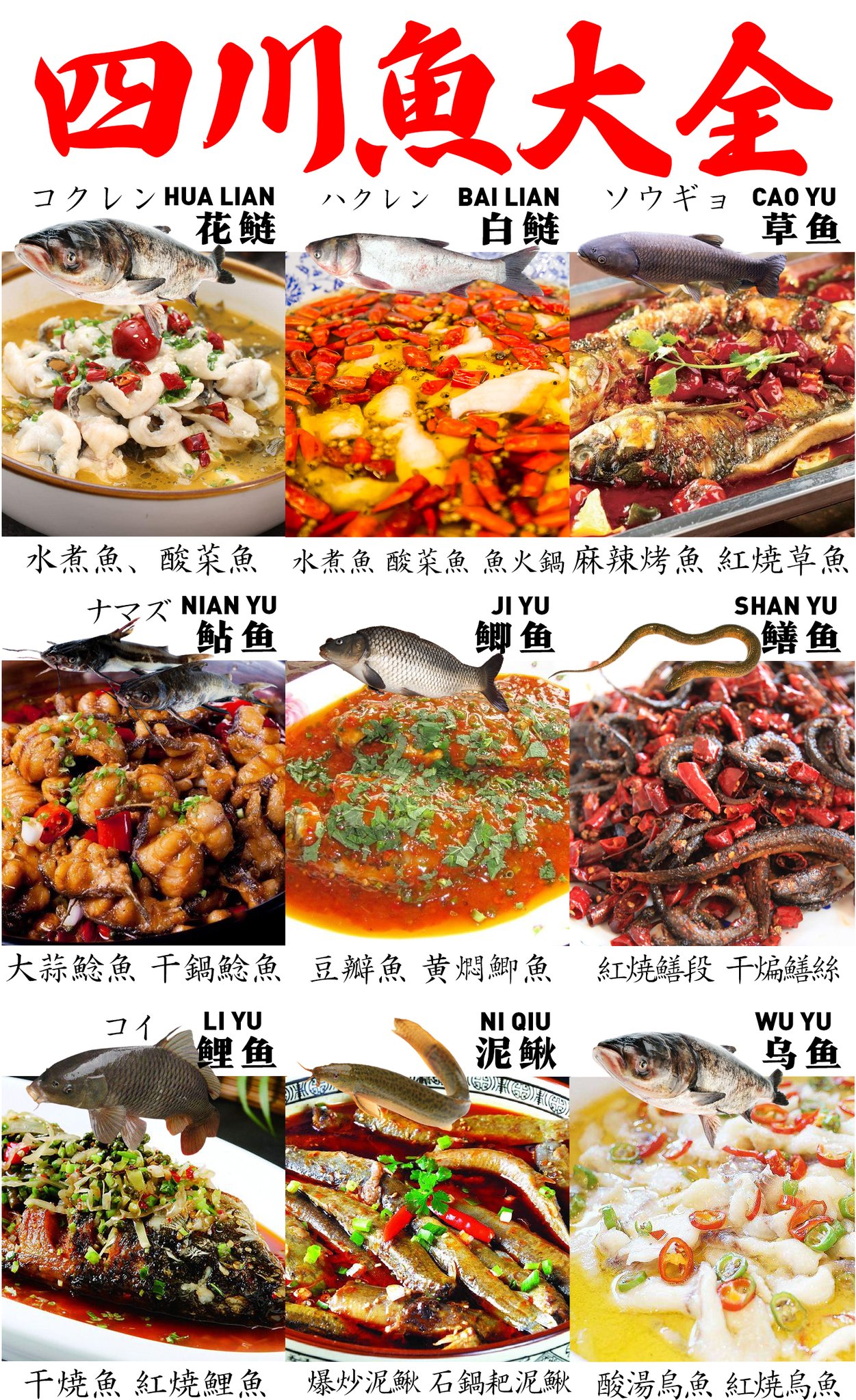 تويتر 四川フェス公式 四川料理の魅力と食文化を伝える على تويتر 四川料理で感動したことの一つ 川魚料理が死ぬほどうまい 花鰱 コクレン 白鰱 ハクレン 草魚 ソウギョ 鯰魚 ナマズ 鯽魚 フナ 鱔魚 タウナギ 鯉魚 コイ 泥鰍ドジョウ 黄辣丁 تويتر 四川フェス公式 四川料理の魅力と食文化を伝える على تويتر 四川料理で感動したことの一つ 川魚料理が死ぬほどうまい 花鰱 コクレン 白鰱 ハクレン 草魚 ソウギョ 鯰魚 ナマズ 鯽魚 フナ 鱔魚 タウナギ 鯉魚 コイ 泥鰍ドジョウ 黄辣丁