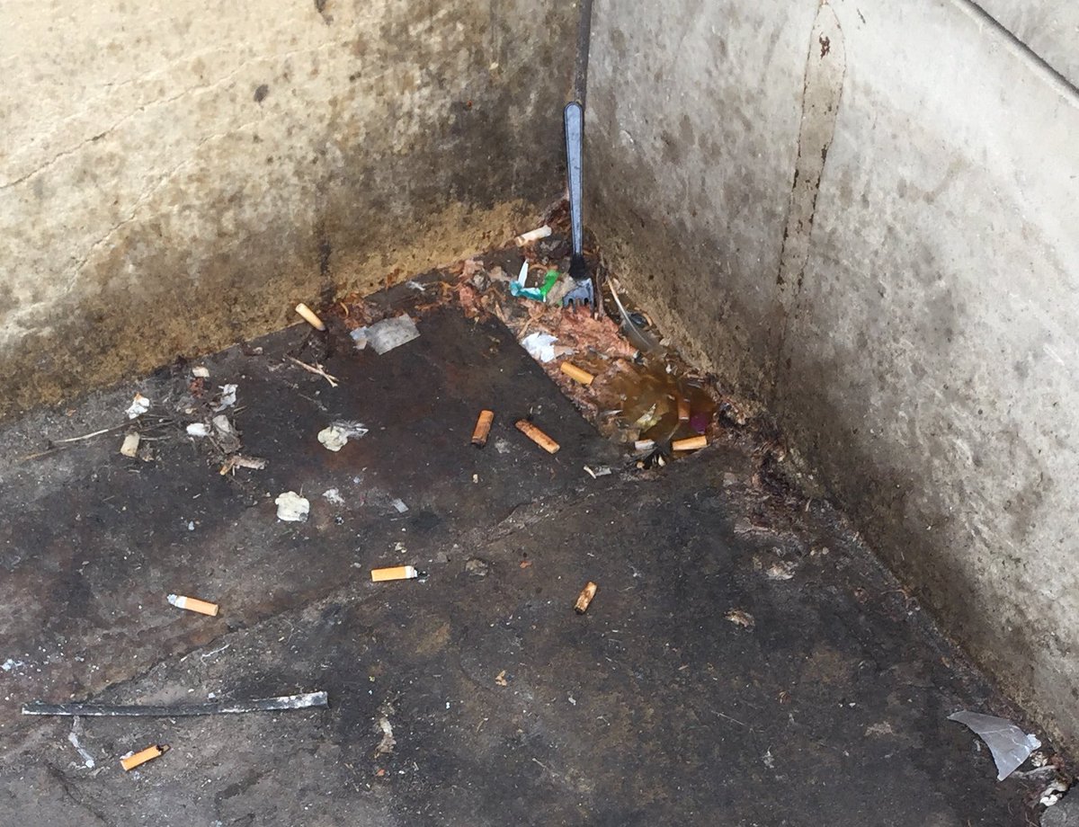 Frankie Coldstream tweet media