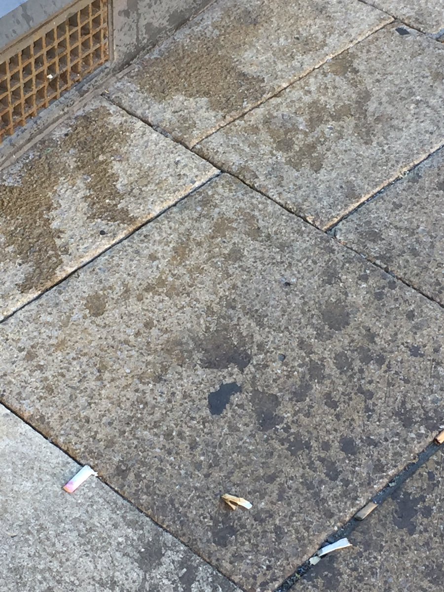 Frankie Coldstream tweet media