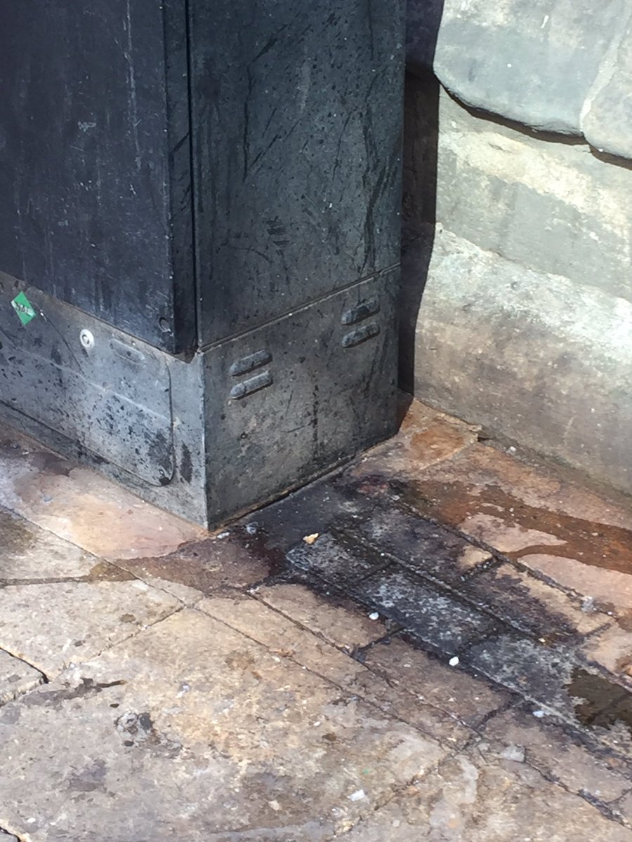 Frankie Coldstream tweet media