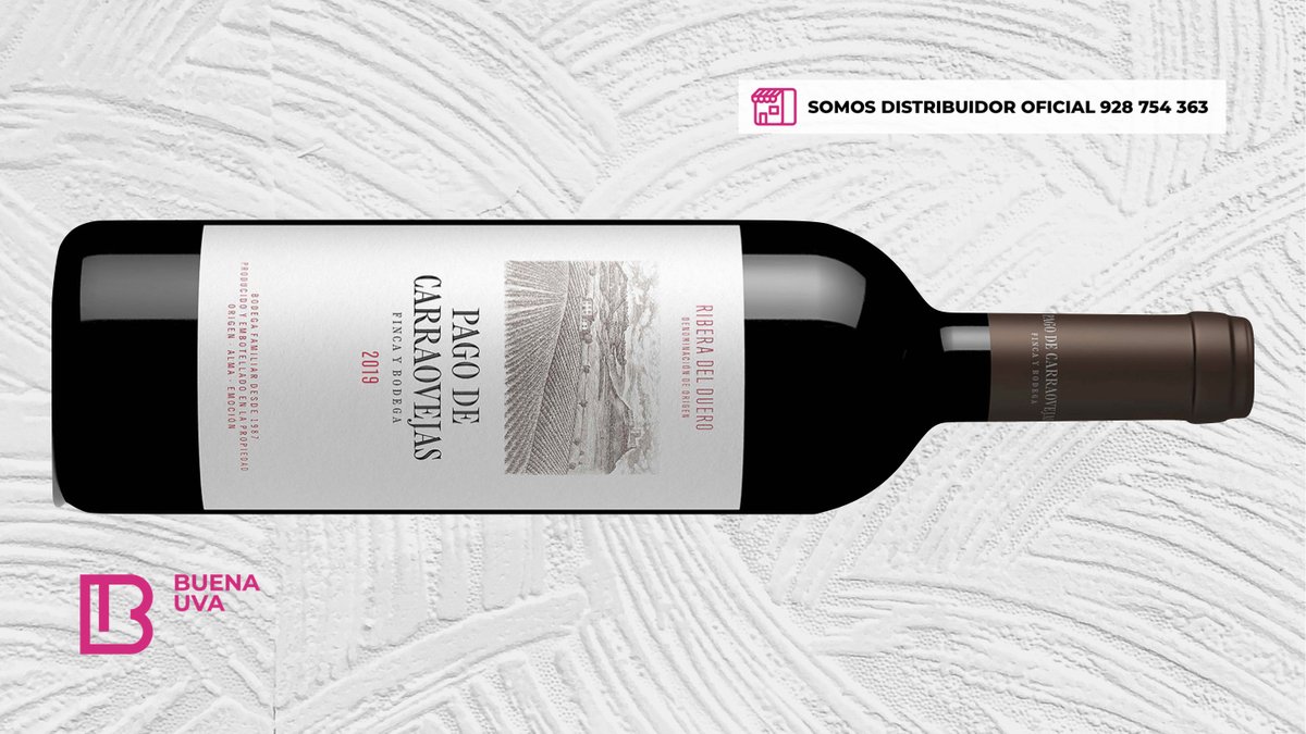 El mítico Pago Carraovejas 2019 ya está disponible en catálogo profesional.
•
#PagoCarraovejas #RiberadelDuero #BuenaUva