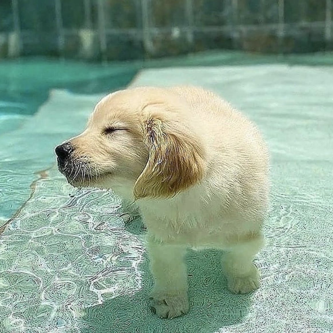 Su cara lo dice todo