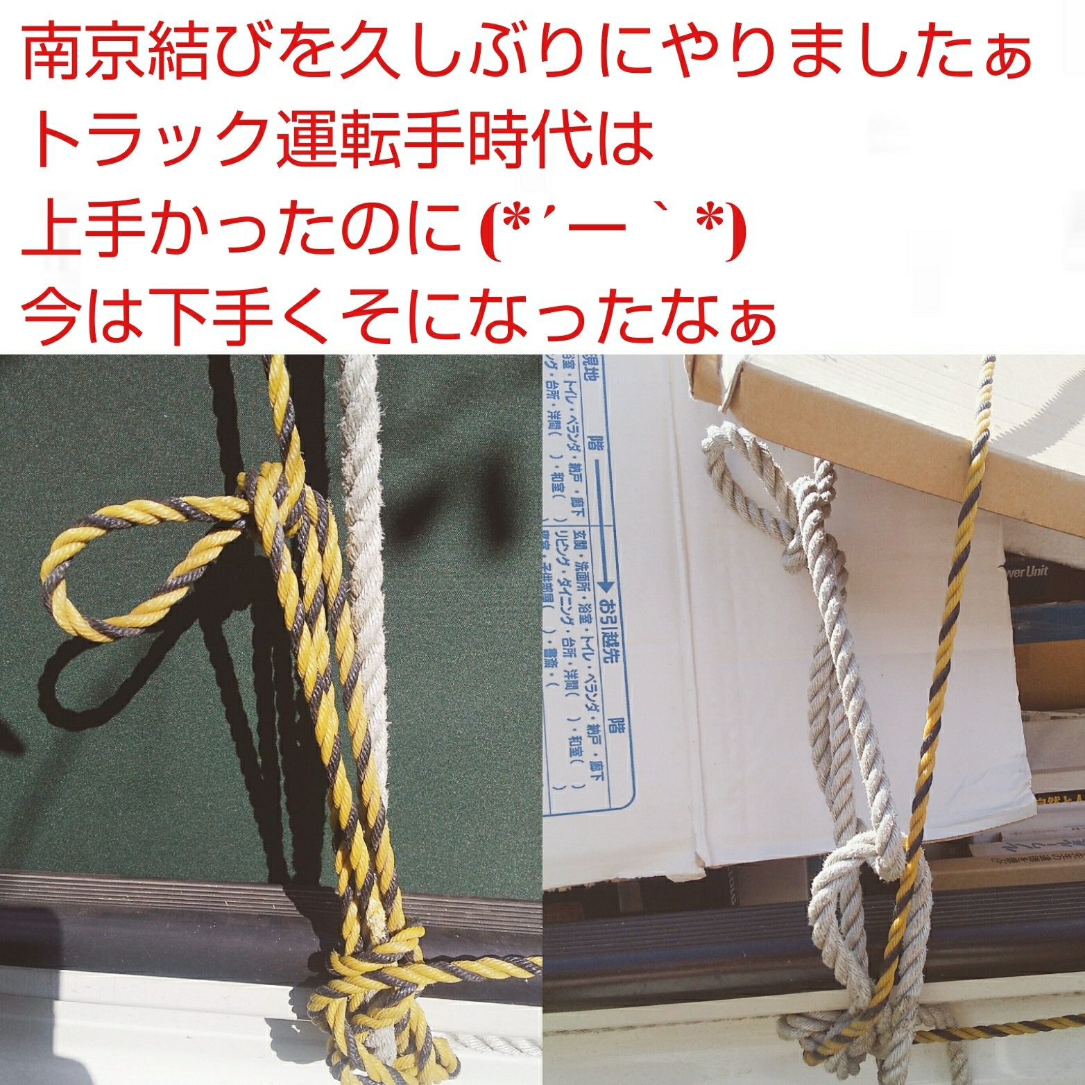 南京結び Twitter Search Twitter