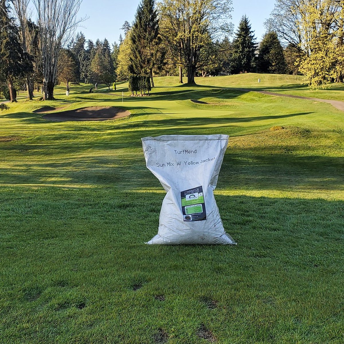 TurfMend's tweet photo. Fall is a great time to fill divots throughout your golf course so theyโre healed up by spring time. Reach out to get your TurfMend today so we can help you Repair The Bare and help you get your course ready to put to bed.
#turfmend #repairthebare #divots #gcsaa https://t.co/KaT43erzyd