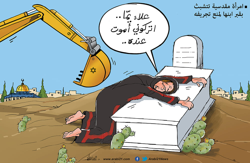 القسطل الإخباري tweet media