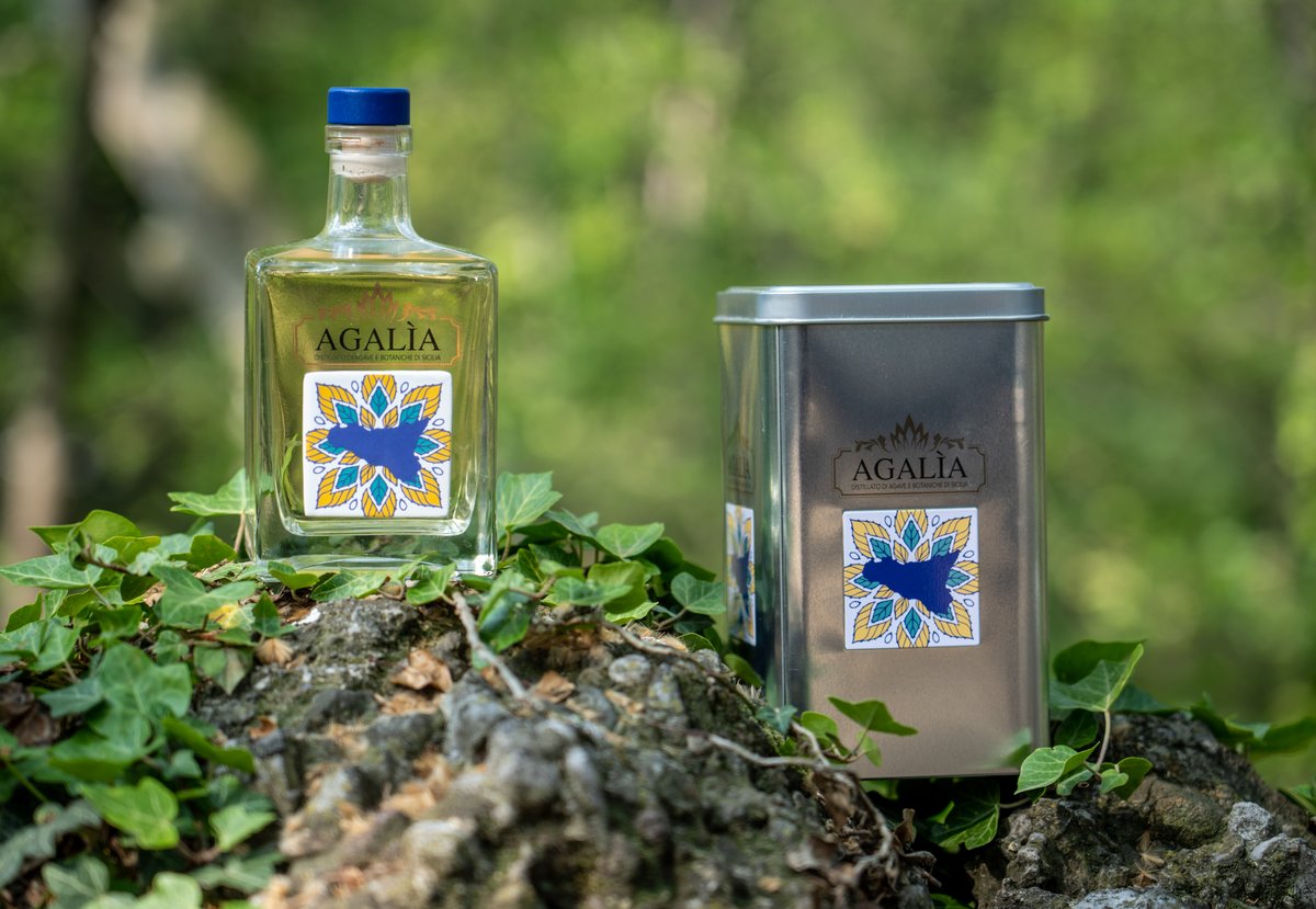WineNewsIt's tweet photo. Proviene dalla #Sicilia occidentale il #distillato di #agave #Agalìa, che profuma di frutta candita, agrumi, ulivo e una serie di suggestioni mediterranee. Al gusto è delicato e gentile. Senza zuccheri aggiunti, la nota alcolica è di gradevole avvolgenza, https://t.co/7FzjdbMbxT https://t.co/1pSbtbo0XP