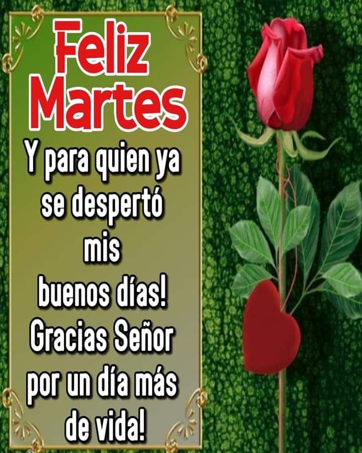 GCocolectzi's tweet photo. @PilarVa15403748 Holahermosa https://t.co/Ca4ILgQLhh