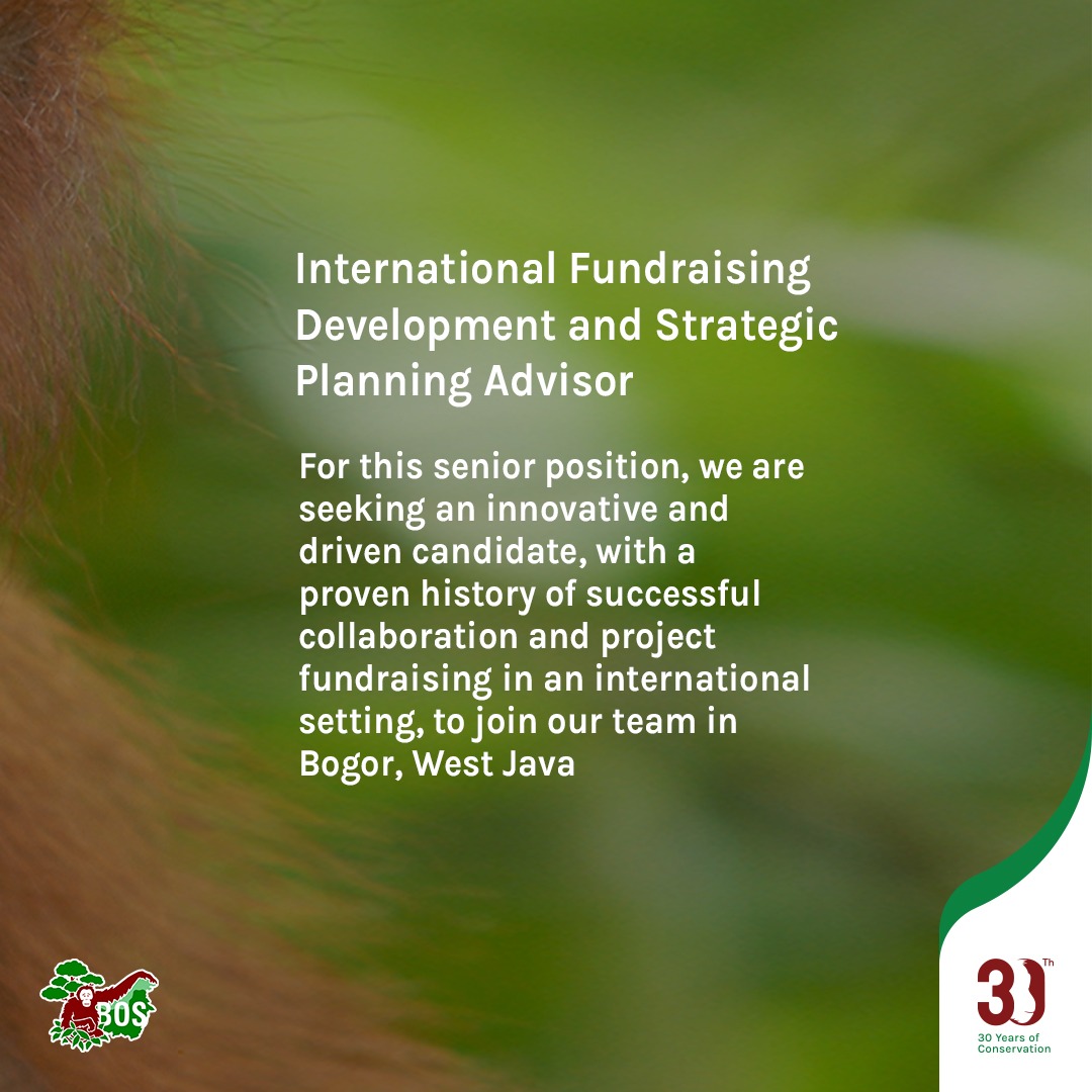 WE ARE HIRING🔍 Are you passionate about environmental issues and would like to join our dedicated BOS Foundation team? You’re in LUCK - We're hiring for not just one, but TWO positions!
👇