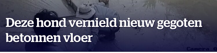 jan laporte tweet media