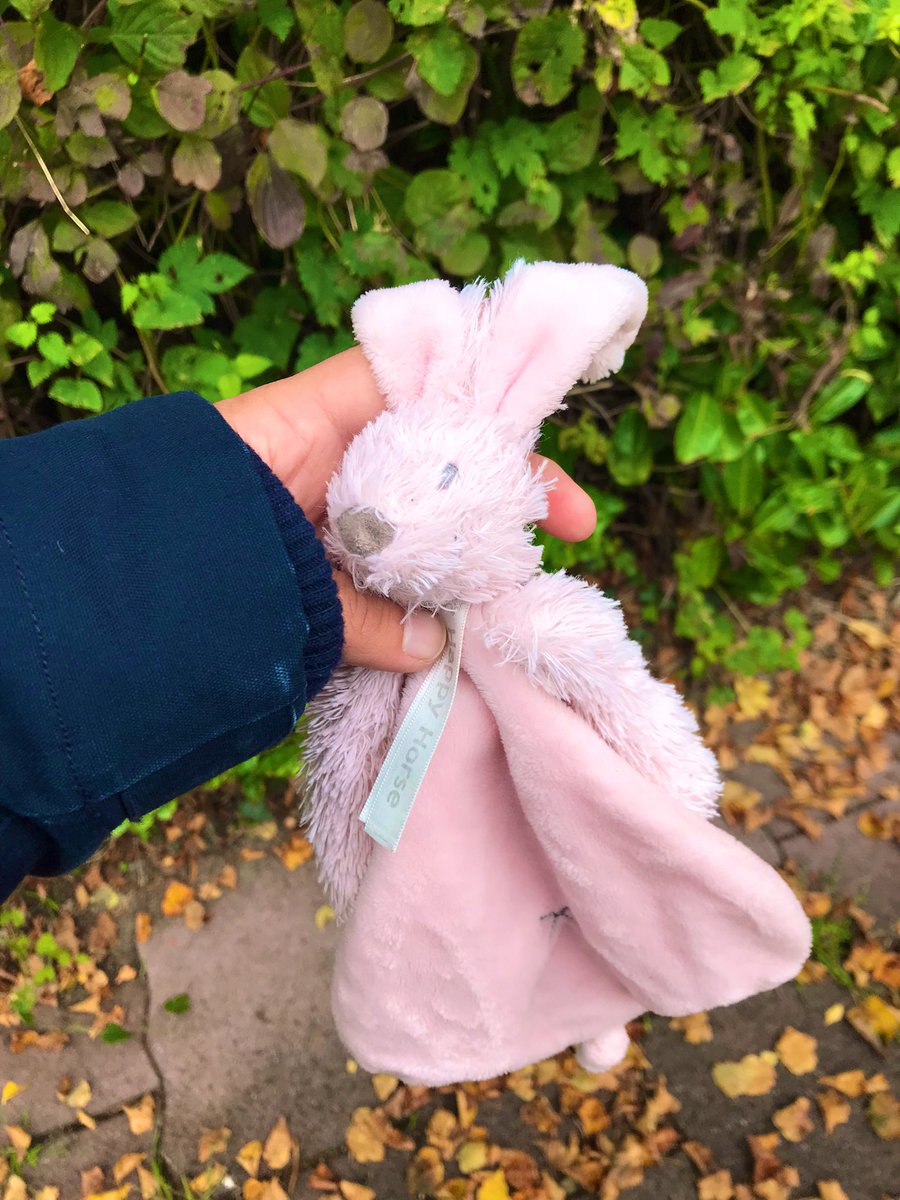 Rickklumper's tweet photo. Hoi #Leusden, kunnen we dit konijnenvriendje terugbrengen bij haar rechtmatige eigenaar?! Ze is verdwaald en lag tussen de bladeren vlakbij bushalte Middenweg, tegenover basisscholen De Bongerd en Kla4 #eurowoningen #kla4 #help https://t.co/OWzVQcM2dR