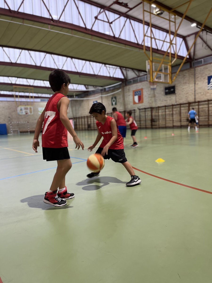 fundaciobrafa's tweet photo. Aquest serà un gran curs per al bàsquet a l'Escola Esportiva de Brafa, tenim un gran nombre d'alumnes i diversos equips, els anireu veient!

🏀⛹️⛹️⛹️⛹️⛹️

#SomBrafa #BeyondVictory #Basket https://t.co/2UGUiYtTCe