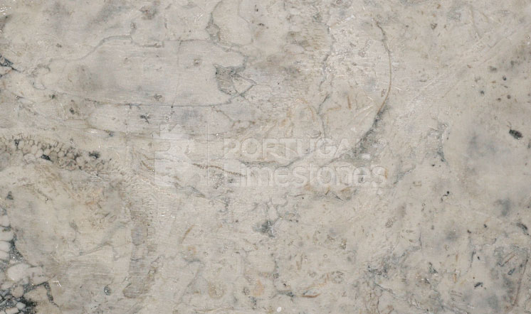PortLimestones's tweet photo. Lioz limestone, a unique and beautiful Portuguese limestone. https://t.co/YiEtpXv7y3 #portugalimestones #lioz #beigelimestone #limestonesupply https://t.co/7EzOjq2DoT