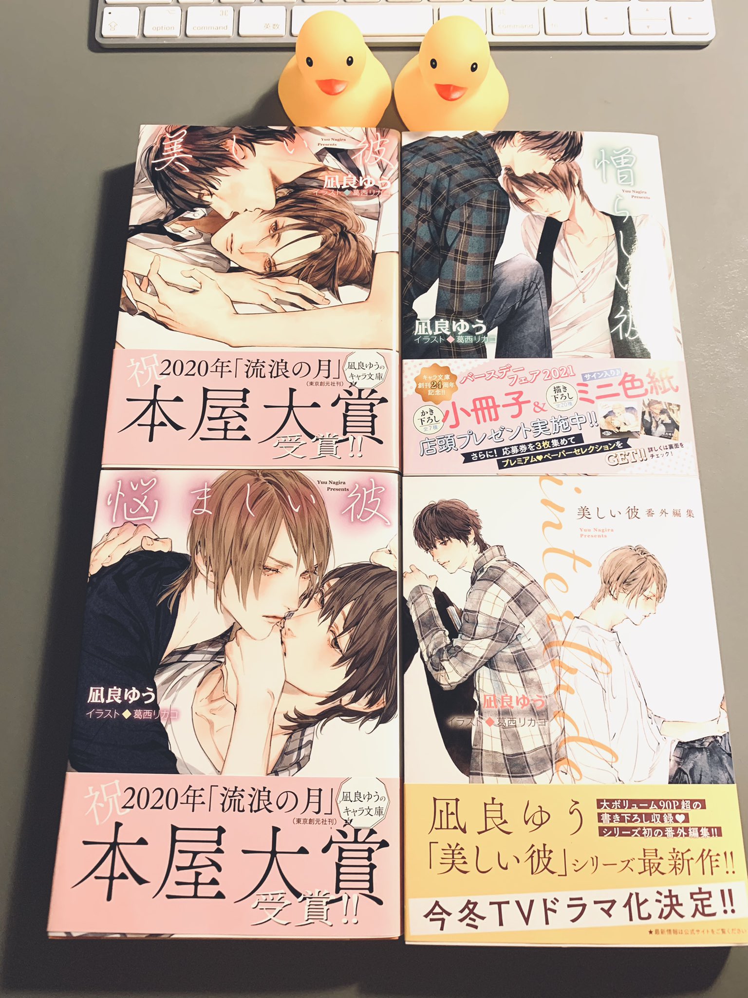美しい彼・悩ましい彼・憎らしい彼 セット 凪良ゆう 3冊セット 美しい彼 悩ましい彼 憎らしい彼 - メルカリ