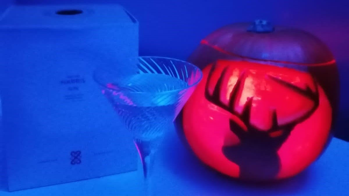 This week we are raising funds for <a href="/Lucky2BHere1/">Lucky2Bhere</a> by running an online pumpkin carving competition to win an exclusive personalised Halloween bottle of #HarriGin.  To enter or to simply donate visit bit.ly/3ElTc7z