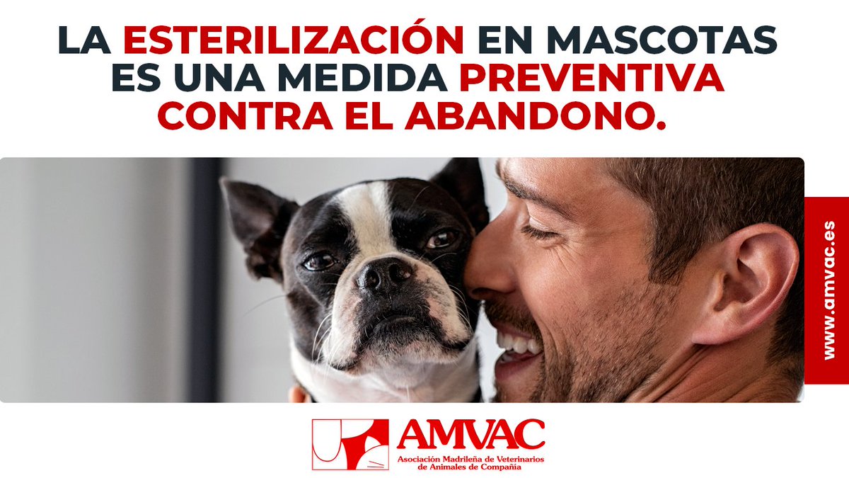 amvac_vet's tweet photo. ☝️ Además de ayudar en el control de la natalidad, la esterilización en animales de compañía es una  práctica clínica que aporta beneficios para la salud de las mascotas previniendo la aparición de algunos  procesos tumorales. https://t.co/JaeUTILg2d
