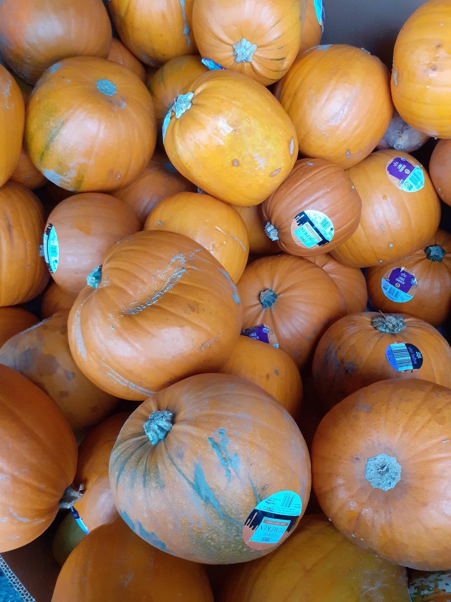 smallshawhurst's tweet photo. Pumpkin carving in full swing down at Cedar Park @pac_cic @AUITC https://t.co/UsPtV5HzI1