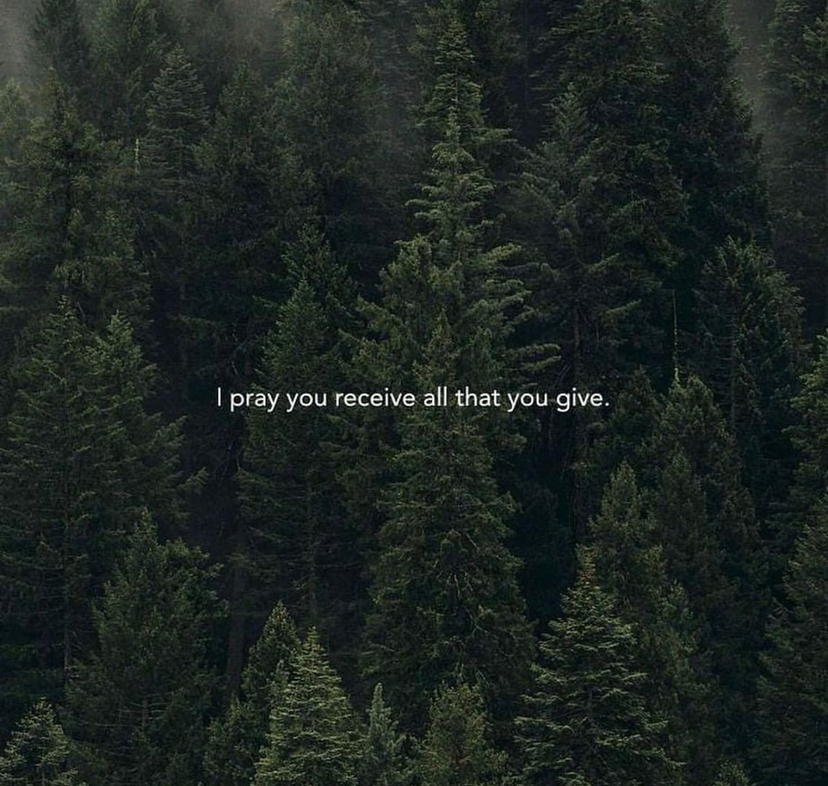 PoemHeaven tweet picture