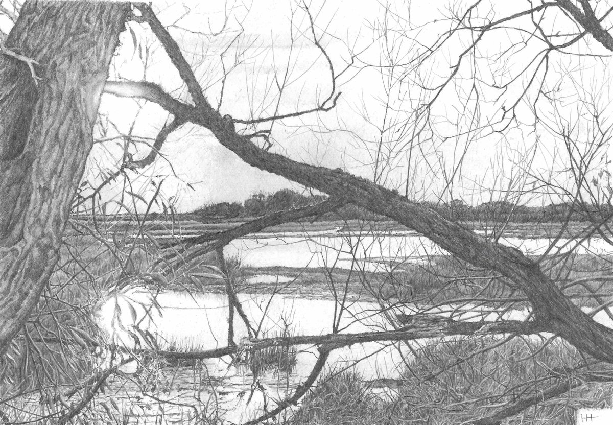 ArtgallerySW's tweet photo. Ian Hedley is currently exhibiting in our charity show! Explore today. 
(https://t.co/iSZj4tOVv4) https://t.co/5pfrcP8aYd
