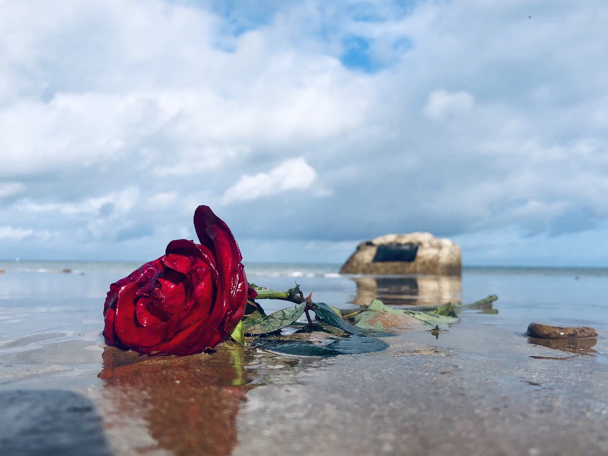 m_dequenne's tweet photo. « Les sanglots longs des violons de l’automne… » 🙏 #Dday #Omahabeach ⁦@CaenMemorial⁩ https://t.co/mIRmbsYQoI
