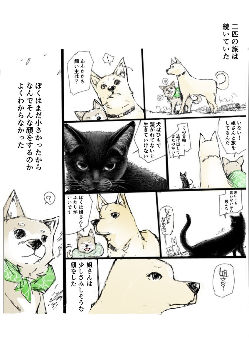 ふたりの旅 豆柴カフェにいられなくなった雌犬とそれをおいかけたちいさい柴犬   【無料】一智和智 https://t.co/SNgqrNH3wn @amazonJPより 