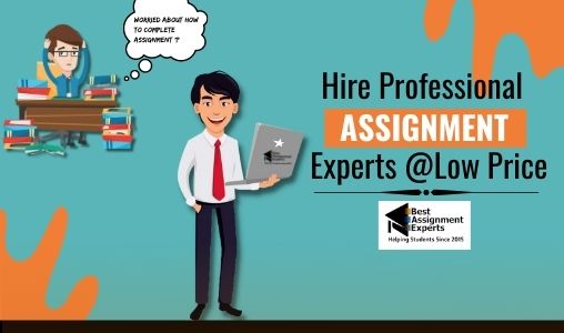 Best Assignment Expert tweet media