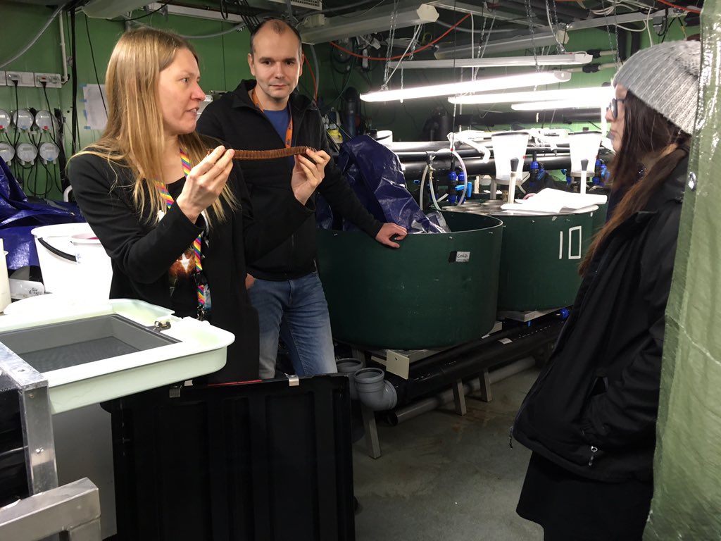 duplouy_anne's tweet photo. And finally a look at the animal facilities, and talking about fish breading. #Salmon @OEB_Helsinki @helsinkiuni #ViikkiCampus https://t.co/agL1Hocj4s
