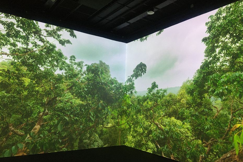 JIF_France's tweet photo. .@Le_Museum et @Sensory_Odyssey  proposent une #exposition immersive à la Grande Galerie de l’Evolution. Les visiteurs sont plongés dans huit milieux naturels de la #planète, dont la #forêt tropicale de Guyane 🌳🌲 https://t.co/uXiwGLNwwO https://t.co/VpNkQ8yKbv