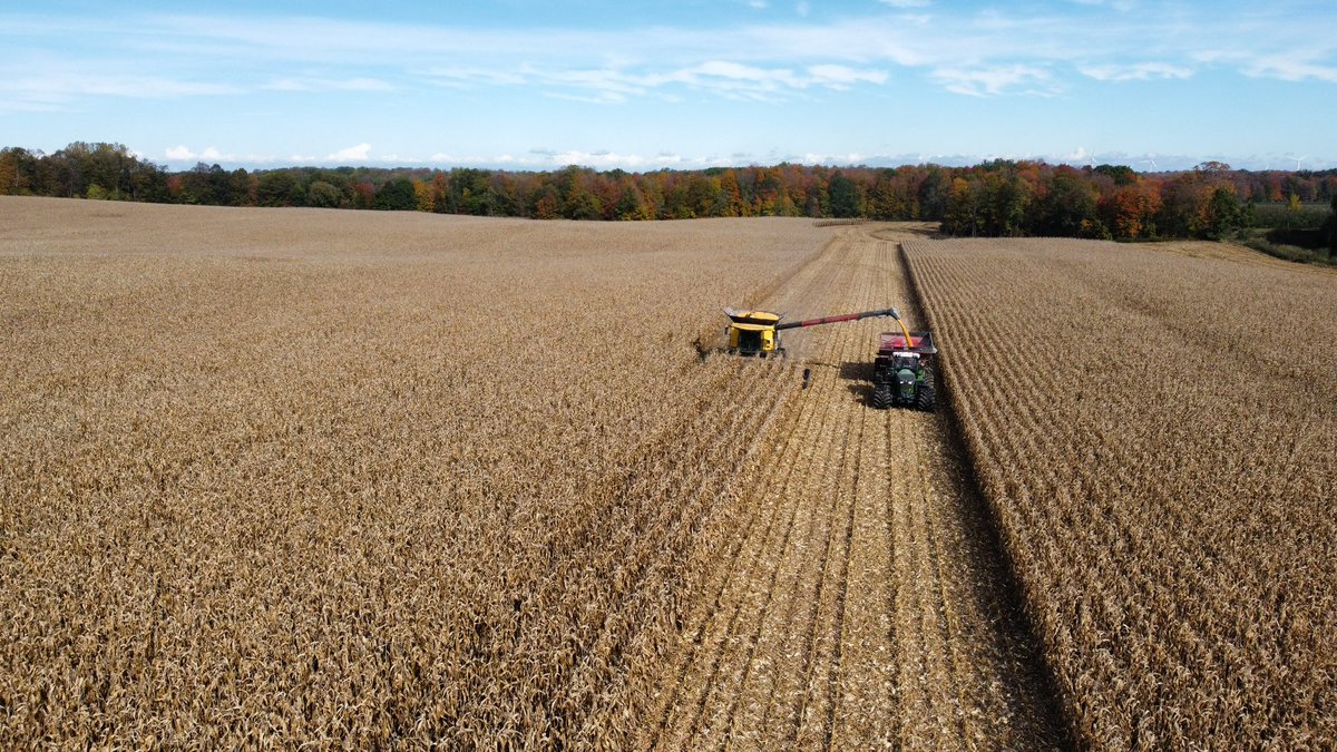 VanAertBryce's tweet photo. Nothing beats the fall views and @DEKALB_Canada corn. We have a good start to corn harvest in Lambton. Tony is staying busy on the grain cart. #harvest21 #fendt https://t.co/OsFdaSP8rS