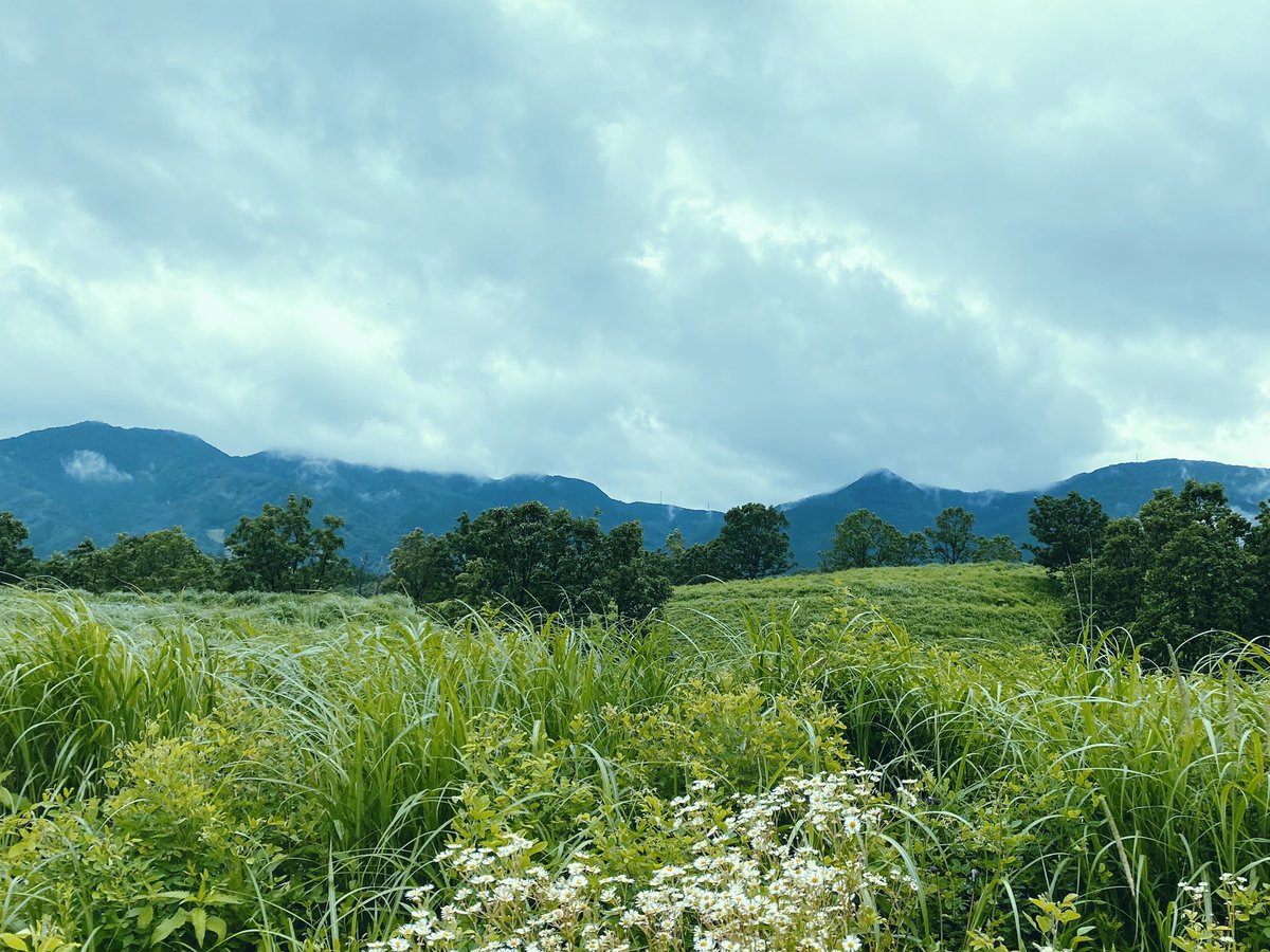 岡山ひるぜん貸別荘ピーターパン 公式hp予約ベストレート Hiruzencottage Twitter
