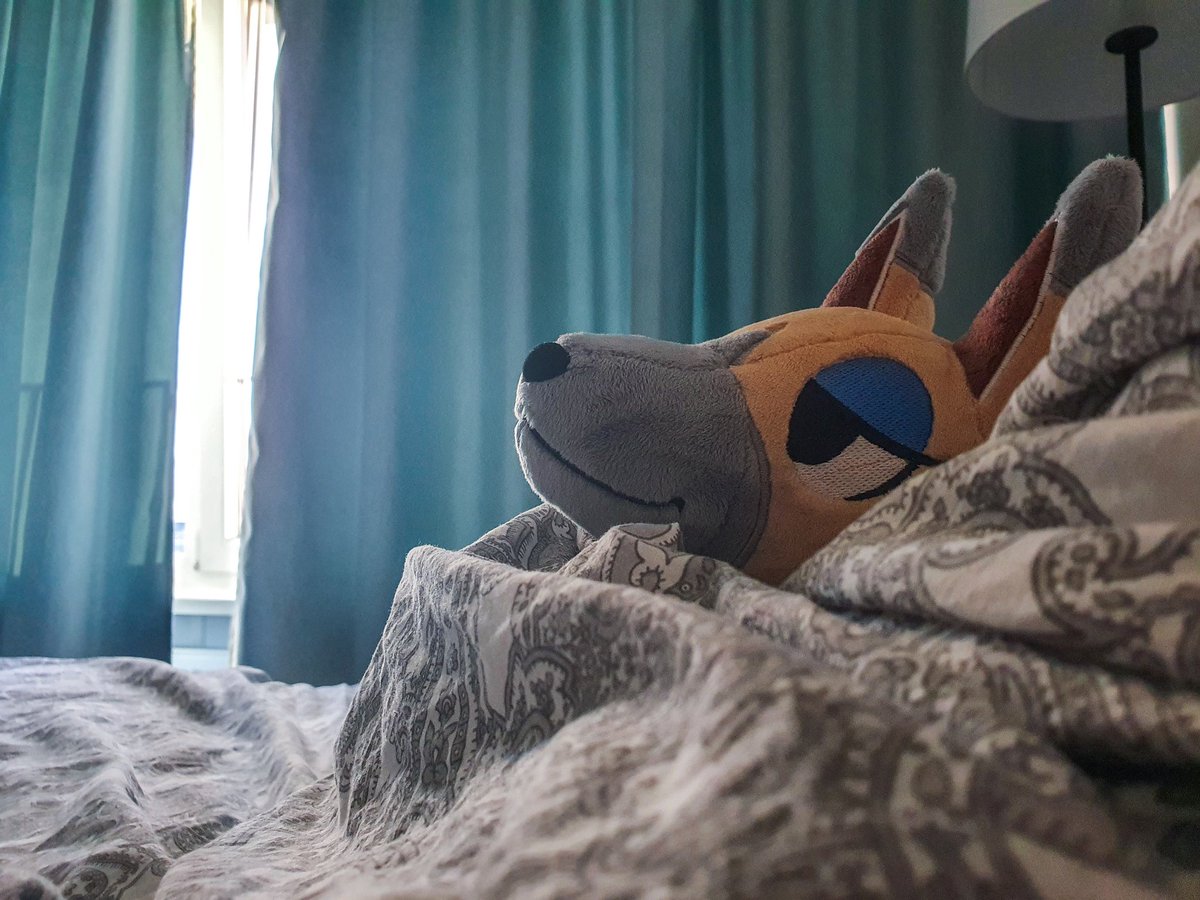 ImOnFNFire's tweet image. I attended Mex Berlin this weekend and had an absolute blast! 
Got this, oh so precious, Vivian plush made by @STRAYCATCRAFTS (do check them out!) and after a good night of sleep she is now ready to take her Dodo Airlines (Railways?) back to Belgium! #AnimalCrossing #ACNH